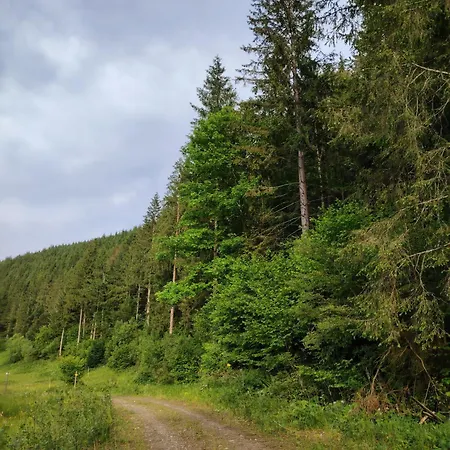 Sabasa Forest Retreat *